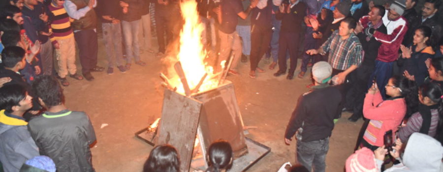 Celebrations – Lohri & Vasant Panchami