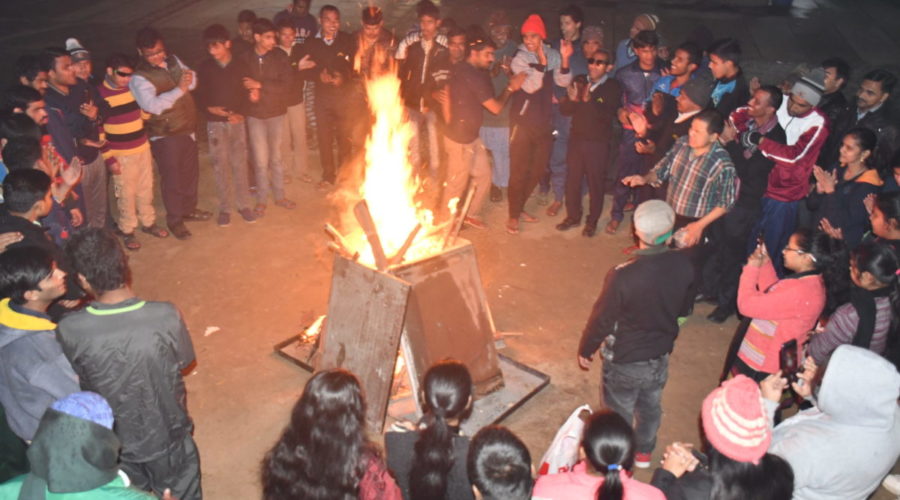 Celebrations – Lohri & Vasant Panchami