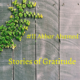 #storiesofgratitude – Akbar Ahamad